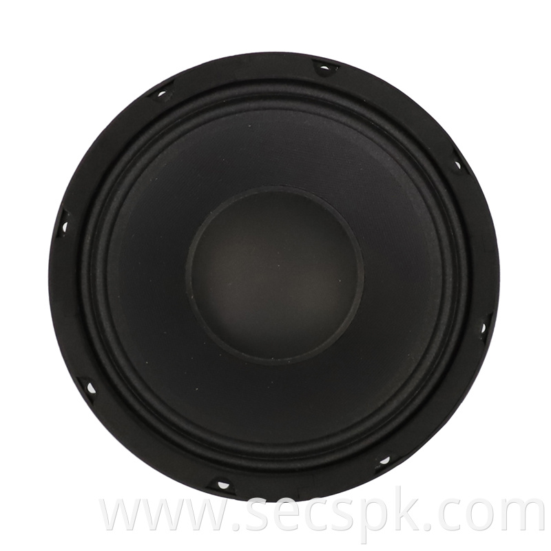 10inch High Quality Stage Speaker